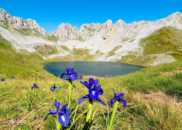 Backpacker Solopuent Hostel *